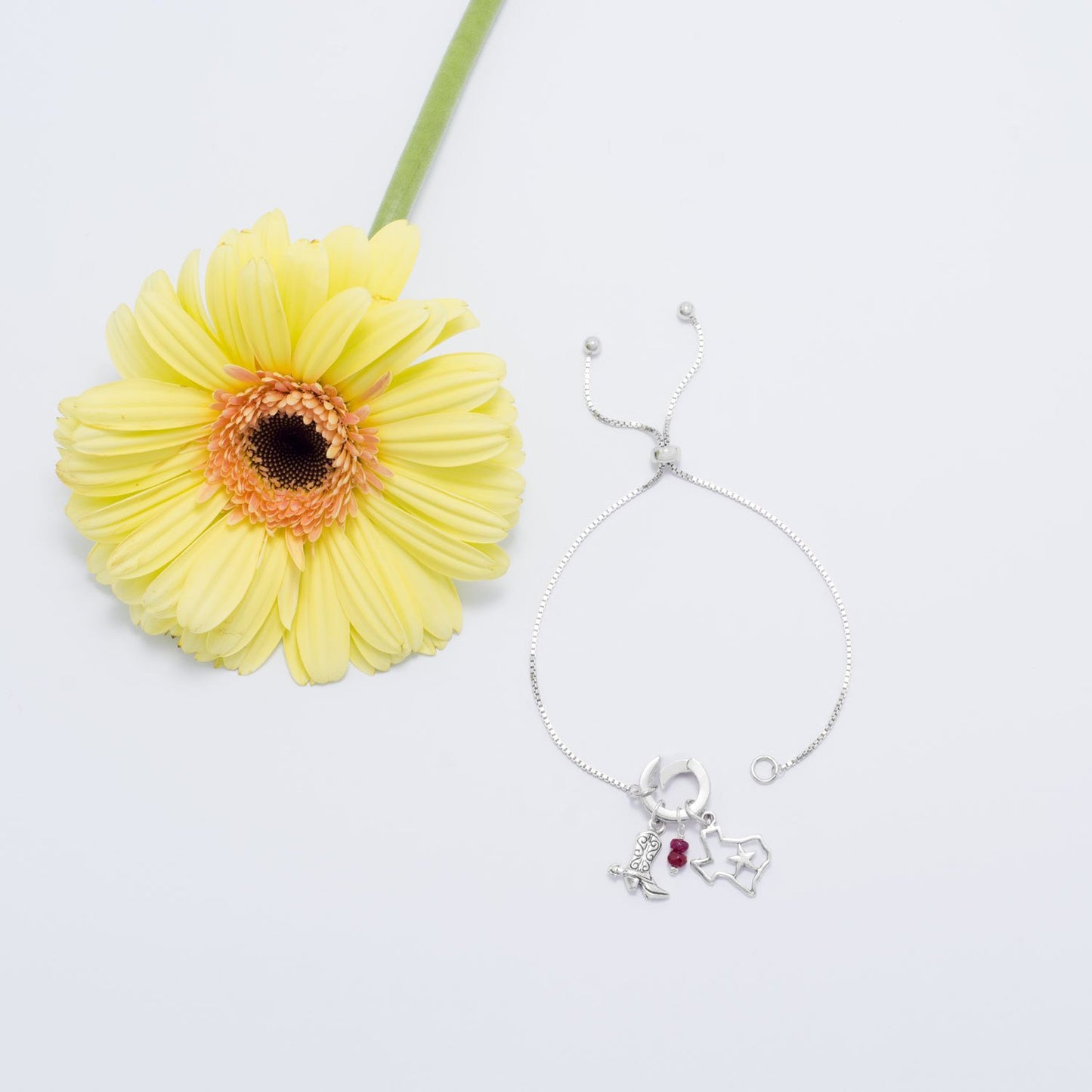 Texas con encanto de estrella