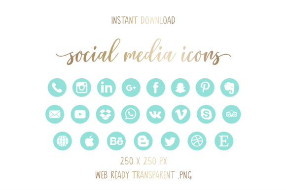 Mint Social Media Icons
