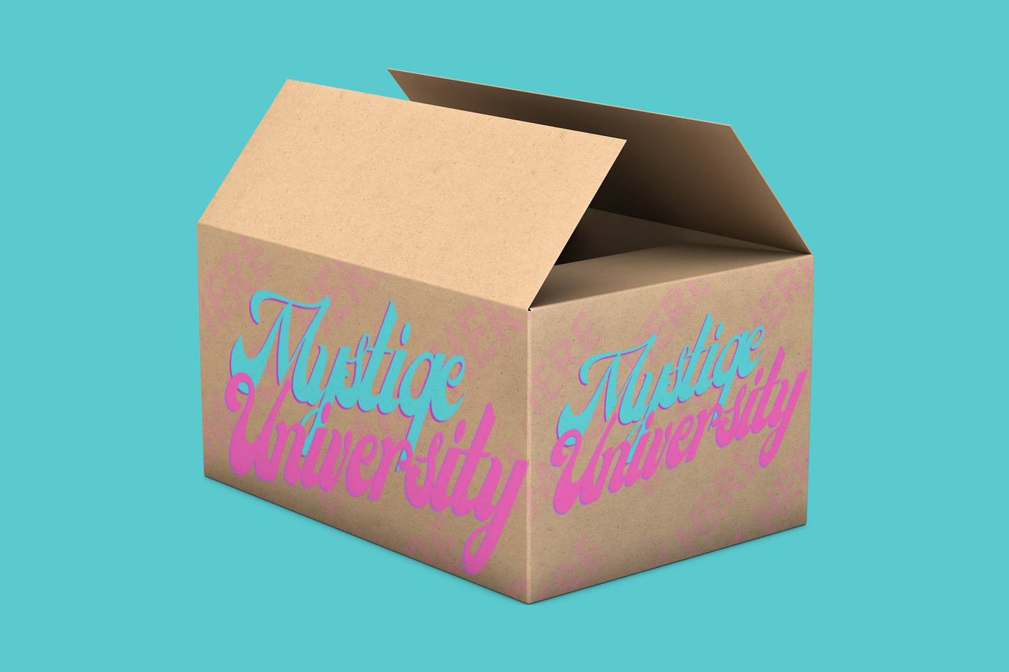 Open Cardboard Shipping Box