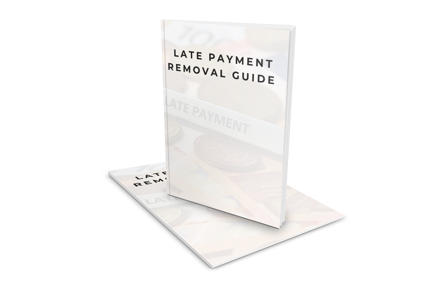 Late Payment Removal Guide