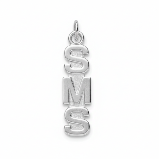 Middle School Abbreviation Charm