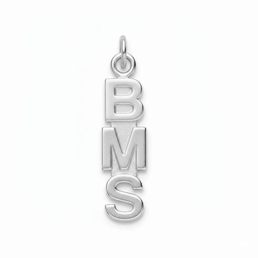 Middle School Abbreviation Charm