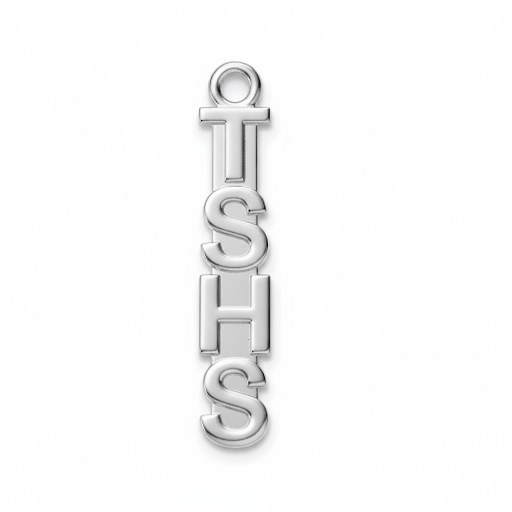 High School Abbreviation Charm