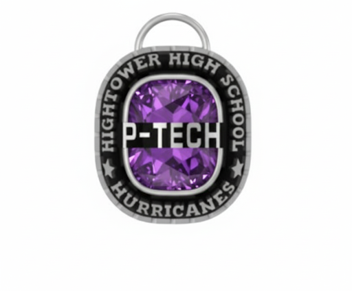 HHS P-Tech Mascot Birthstone Class Necklace