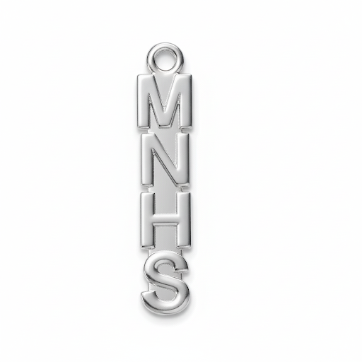 High School Abbreviation Charm