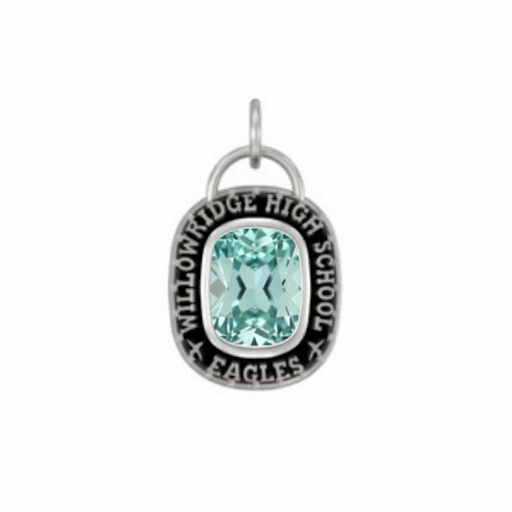 WHS Eagles Cushion Mascot Birthstone Class Necklace