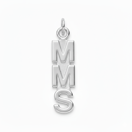 Middle School Abbreviation Charm