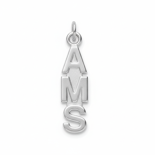 Middle School Abbreviation Charm