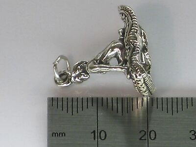 Genie on Magic Flying Carpet Charm