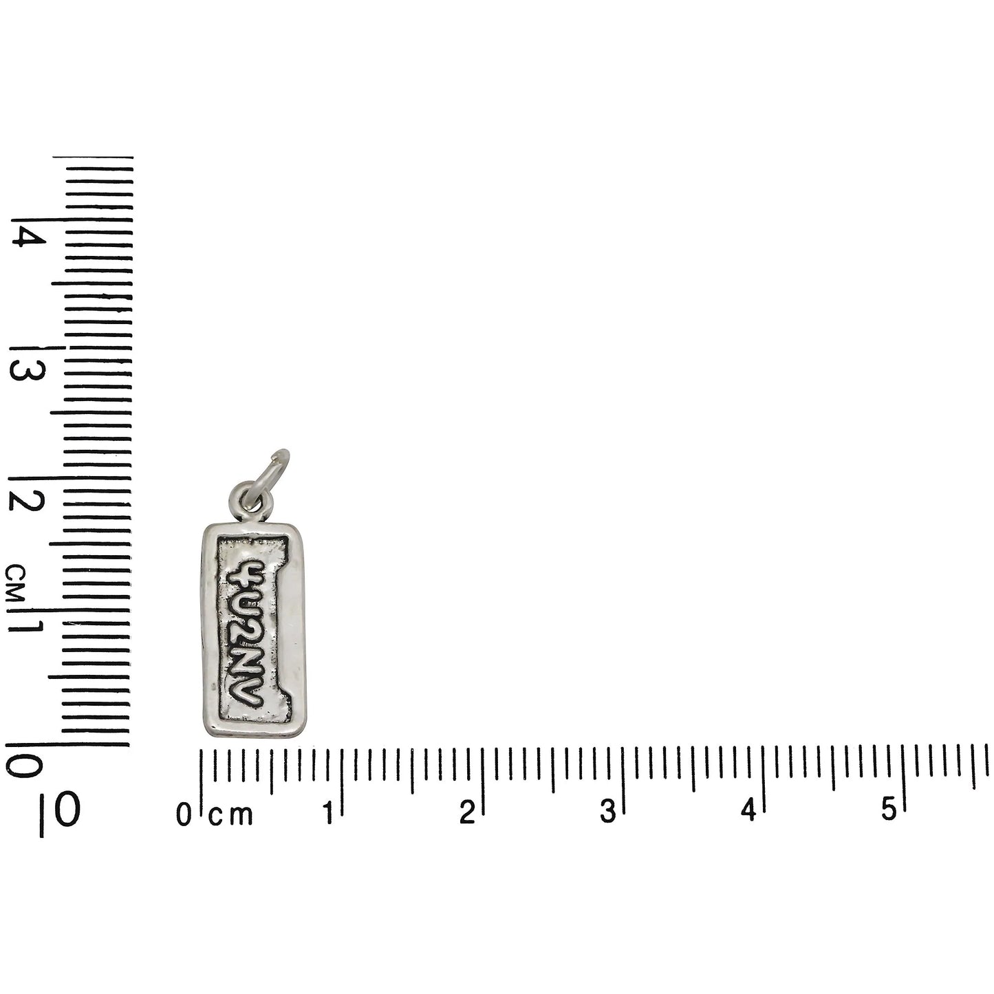 4U2NV Vanity Plate Text Charm