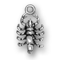Scorpio Scorpion Charm