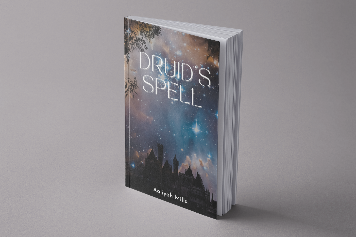 Ghost Write Fiction Book