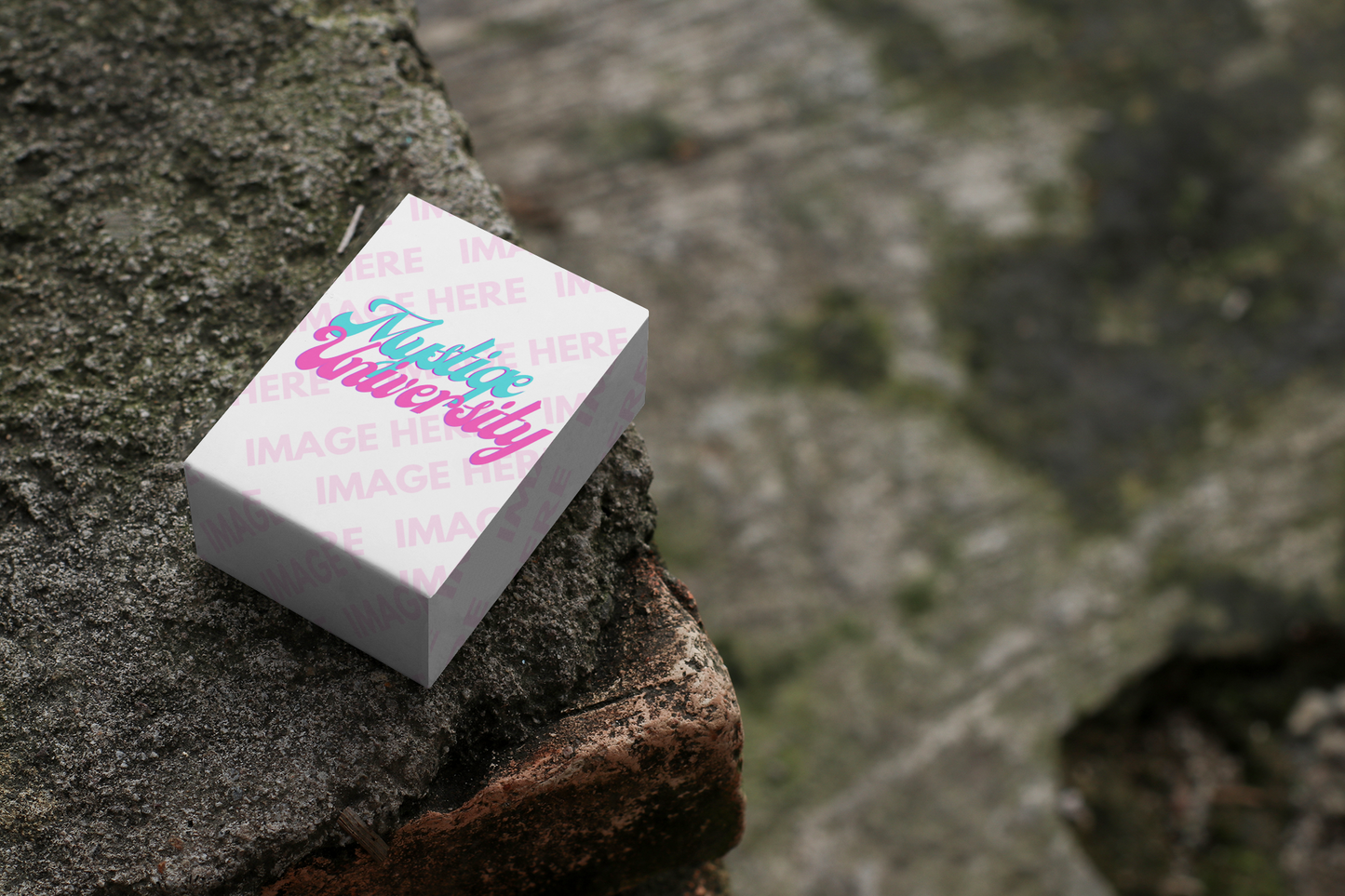 Mockup of a Small Box Placed on top of a Cement Bricks