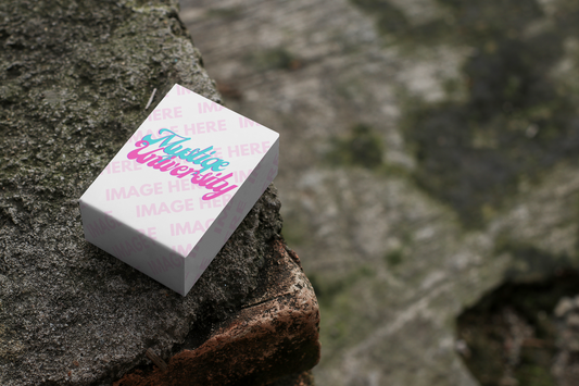 Mockup of a Small Box Placed on top of a Cement Bricks